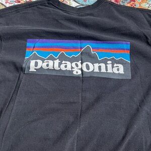 Patagonia tshirt